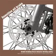 CMACEWHEEL Vélos électriques, Moteur 250W Batterie 36V 10Ah, 25km/h Autonomie 60-80km No throttle, pure power assist, Gris