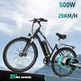 COLORWAY Vélo Électrique 28" VAE - E-BIKE VTT Batterie amovible 36V 15Ah - Moteur 250W - Shimano 7 Vitesses - Noir