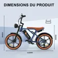 COLORWAY Vélo électrique, E-BIKE Tout Terrain de 20" avec Pneu 4.0 Fat, Moteur 250W et Batterie 48V 15Ah, Shimano 7 Vitesses