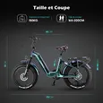 FAFREES F20 Master - Vélo électrique Gros Pneus 20*4"- 690W -Samsung Batterie 48V 22.5Ah -Autonomie max 160km -7 Vitesses, Bleu