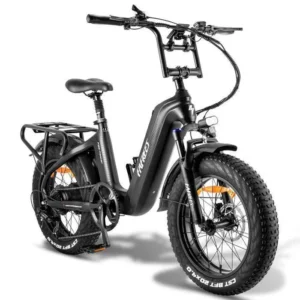 Vélo électrique 20“*4 Gros Pneus FAFREES F20 Master Moteur 690W 48V/22.5Ah Samsung Batterie,Autonomie 160km,Shimano 7 vitesses,Gris