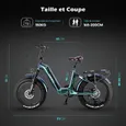 Vélo électrique 20“*4 Gros Pneus FAFREES F20 Master Moteur 690W 48V/22.5Ah Samsung Batterie,Autonomie 160km,Shimano 7 vitesses,Gris
