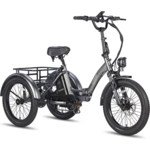 FAFREES F20 Mate - Vélo Électrique 20" - Pneu Gras Tricycle - Moteur 500W Batterie 48V/18Ah - Autonomie 100 km - 3 Freins, Gris