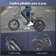FAFREES F20 Mate - Vélo Électrique 20" - Pneu Gras Tricycle - Moteur 500W Batterie 48V/18Ah - Autonomie 100 km - 3 Freins, Gris