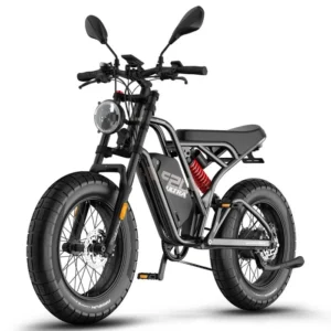 FAFREES F20 Ultra Amélioré Vélo Électrique - Moteur 750W Batterie 48V25AH Pneus 20 Pouces Freins Mécaniques - Noir