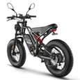 FAFREES F20 Ultra Amélioré Vélo Électrique - Moteur 750W Batterie 48V25AH Pneus 20 Pouces Freins Mécaniques - Noir