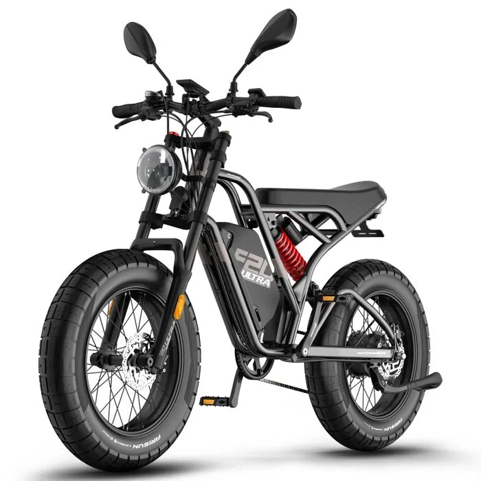 FAFREES F20 Ultra Amélioré Vélo Électrique - Moteur 750W Batterie 48V25AH Pneus 20 Pouces Freins Mécaniques - Noir