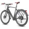 FAFREES F700M Vélo Électrique - Moteur 250W Batterie 36V10AH Freins Hydrauliques Urbain Cadre Aluminium - Noir
