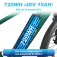 TTGO M310 Vélo électrique Vert – Moteur arrière 250W – Batterie 48V 15Ah – Shimano 7 vitesses – 25km/h – Autonomie 100km – Image 5