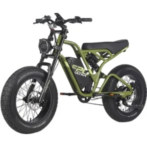 velo electrique Fafrees F20 Ultra Autonomie 100km Moteur 750W Doubles amortisseurs 20 pouces VTT Fat bike 48V25Ah Vert