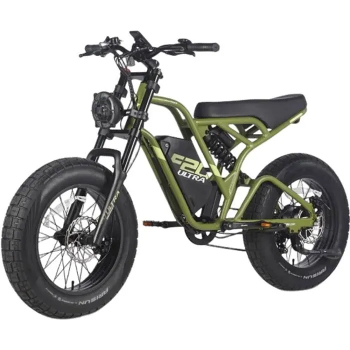 velo electrique Fafrees F20 Ultra Autonomie 100km Moteur 750W Doubles amortisseurs 20 pouces VTT Fat bike 48V25Ah Vert