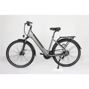Vélo électrique BANGYI, Moteur 250W, 36V13.6Ah Lithium Batterie, 25KM/H, Gris, Alliage d’aluminium, Frein Disque