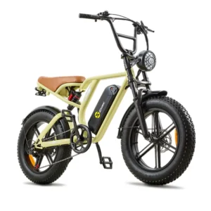 Vélo électrique BURCHDA H1, Fat Wheel, Roue à Rayons, 500W 48V 15Ah, Porte-Bagages Arrière, Boîte à Code, Jaune