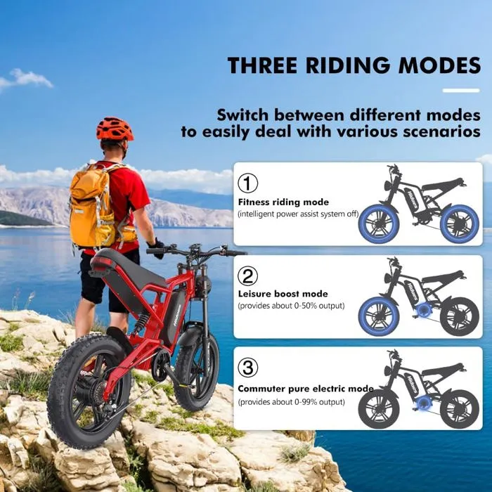 Vélo électrique de Banlieue Pour Adultes,Batterie Amovible 15AH Mode PAS de Gamme 80KM,jusqu'à 25Km/h,Pneus Tout Terrain 20"x4.0