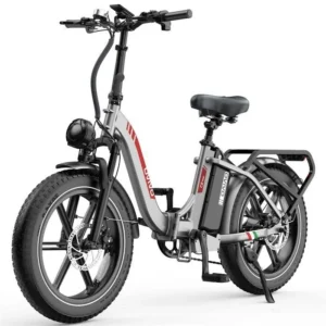 Vélo électrique ECOWORLD C2 PRO, Moteur 500W Batterie 48V18AH Accélérateur de pouce + Capteur booster, 20*4.0 Pneus Neige, Rouge