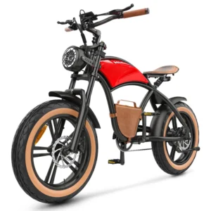 Vélo électrique Fat Bike Hidoes B10 20 pouces, batterie 48 V 13 Ah Moteur 1000W