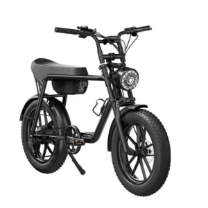 750W48V15AH Vélo électrique à gros pneus