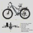 Vélo Électrique Adulte 26" ITSTANDS RX26 Moteur 1000W Batterie Amovible 48V 20AH Autonomie 100KM Vitesse 45KM/H E-BIKE Hydraulique
