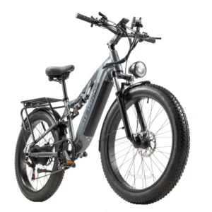 Vélo Électrique Adulte 26" ITSTANDS RX26 Moteur 1000W Batterie Amovible 48V 20AH Autonomie 100KM Vitesse 45KM/H E-BIKE Hydraulique