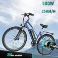 Vélo électrique VAE COLORWAY 28" - Batterie amovible 36V 15Ah - Moteur 250W - Shimano 7 Vitesses - Bleu + COLORWAY Panier Arrière