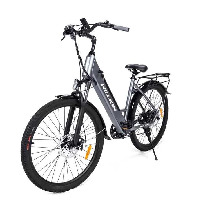 Vélo électrique WELKIN, Moteur 500W Batterie 36V 18AH, 25KM/H Autonomie 120KM, Envoyer panier de voiture avant, Gris