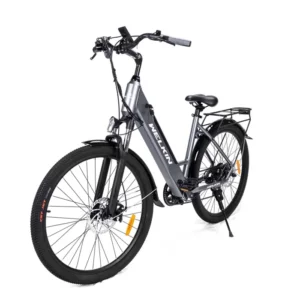 WELKIN Vélo électrique, Gris, Moteur 500W Batterie 36V 15AH, 25KM/H Autonomie 100KM, Envoyer panier de voiture avant