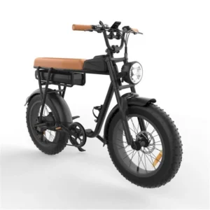 YAMALI FXH-006 Vélo électrique,Brun , Moteur 1000W, Batterie lithium 48V, Vitesse maximale 25KM/H, autonomie électrique pure 50KM