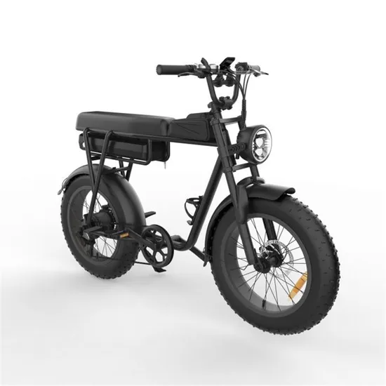 YAMALI FXH-006 Vélo électrique, Noir, Moteur 1000W, Batterie lithium 48V, Vitesse maximale 25KM/H, autonomie électrique pure 50KM